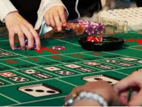 ope体育2024最新版